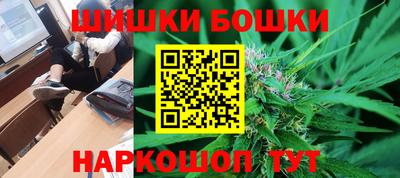 ешки Боровичи