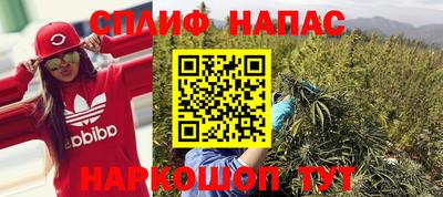 ешки Боровичи