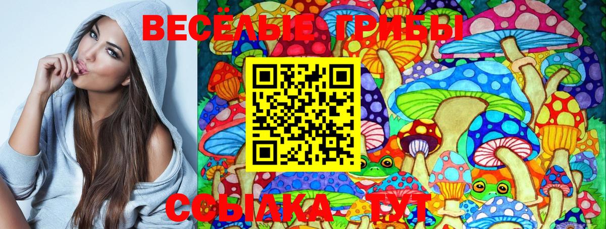 Галлюциногенные грибы Magic Shrooms  Вход с VPN  закладка  Батайск 